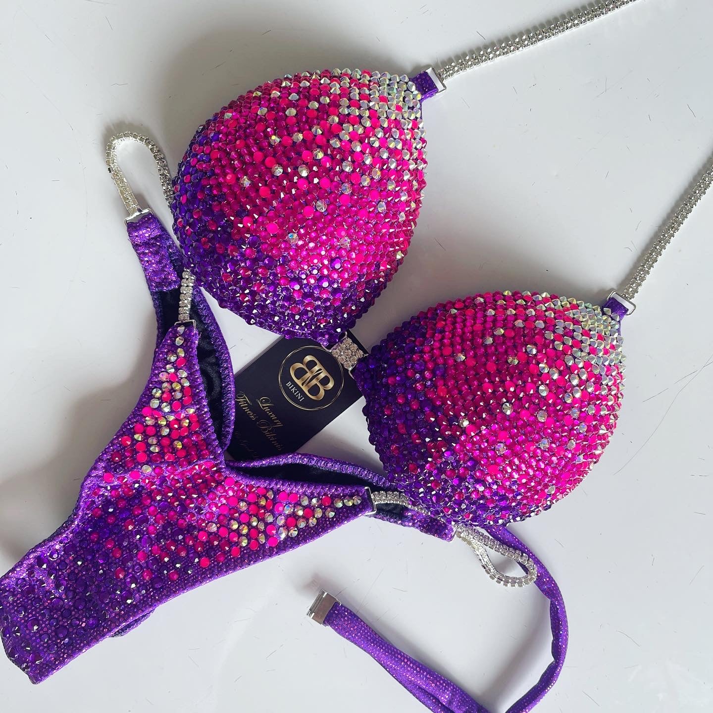 Purple and Pink Ombre NPC Bikini (533)