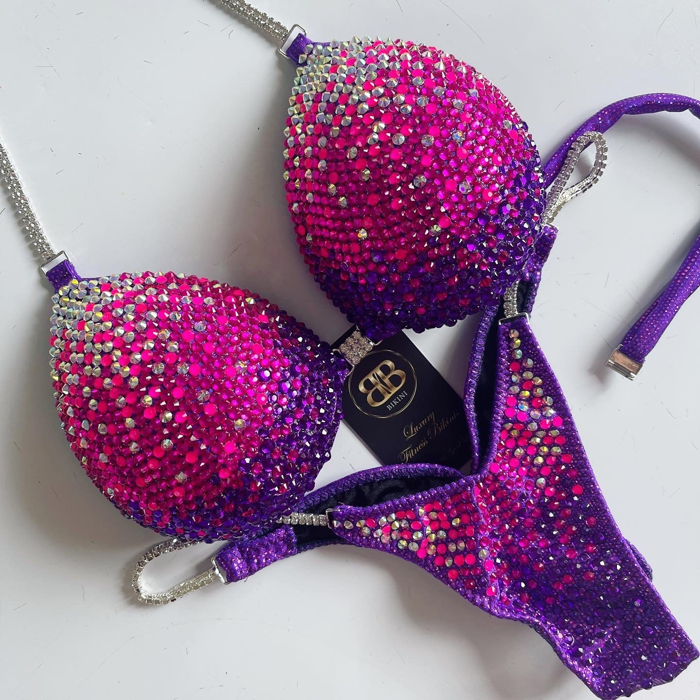 Purple and Pink Ombre NPC Bikini (533)