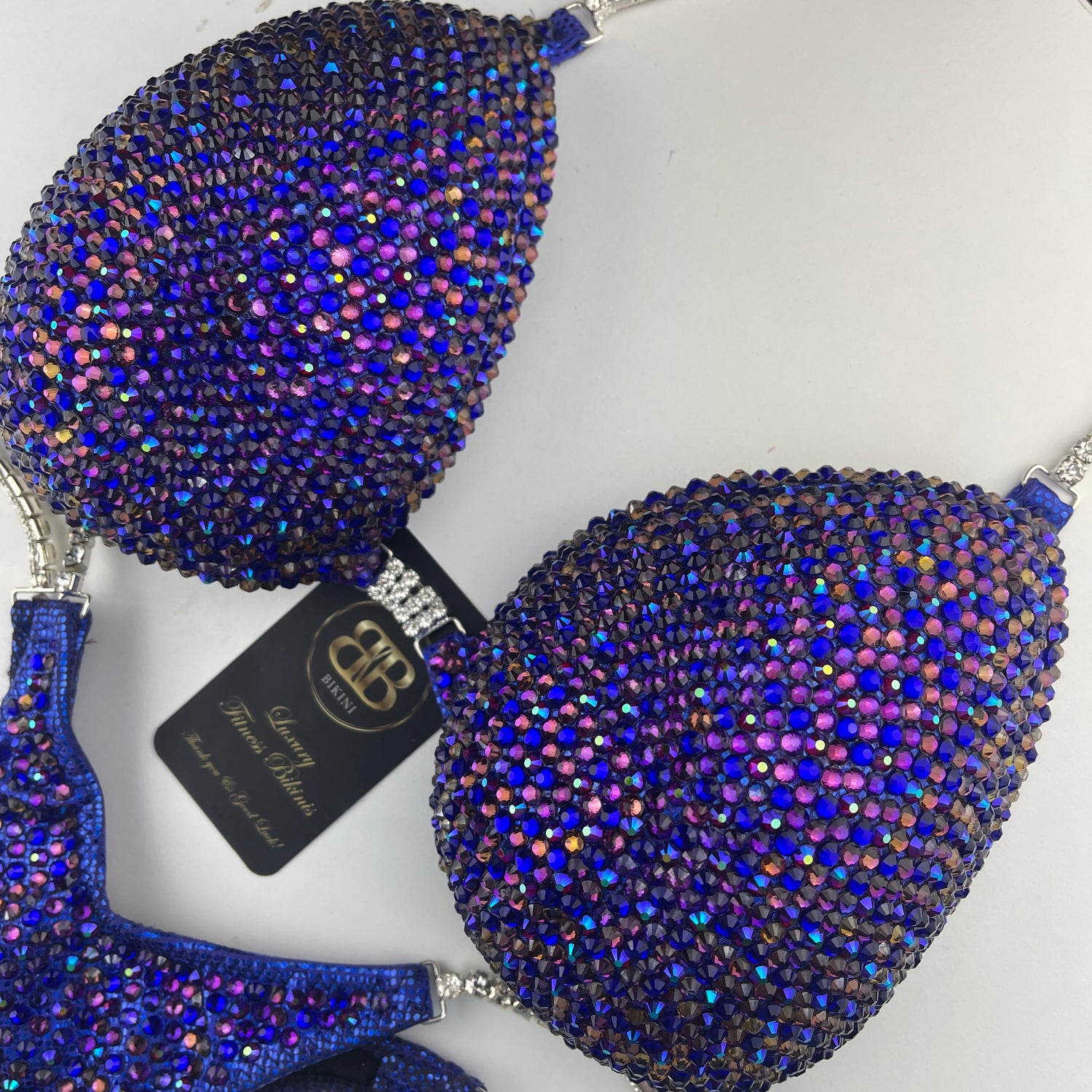 Rental-  Cobalt blue and purple NPC style bikini - D/DD cup